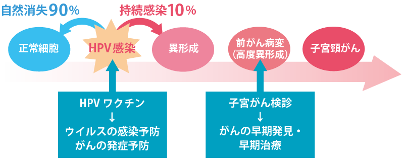 か が ワクチン 受ける ん べき 子 宮頸