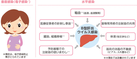 赤ちゃんのb型肝炎ワクチン Know Vpd